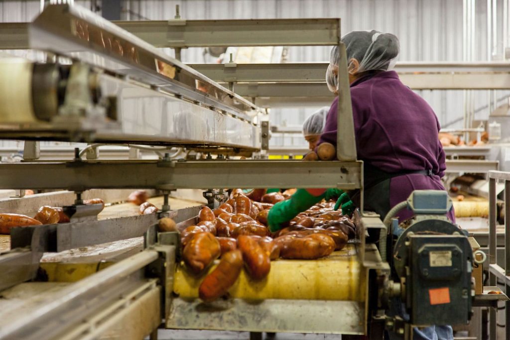 Nestle Newcastle factory fine